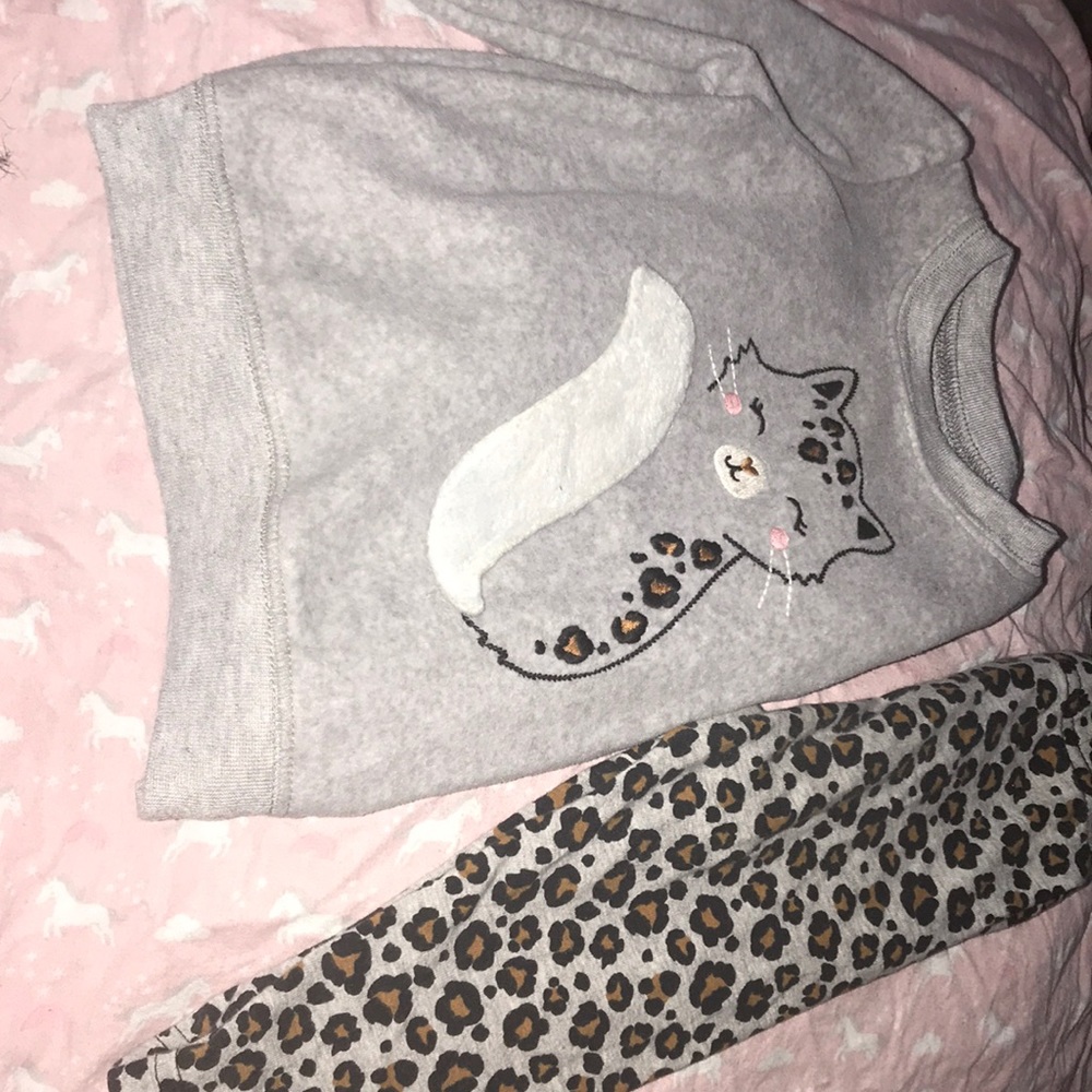 Gray & Leopard Print Long sleeve and pant set.